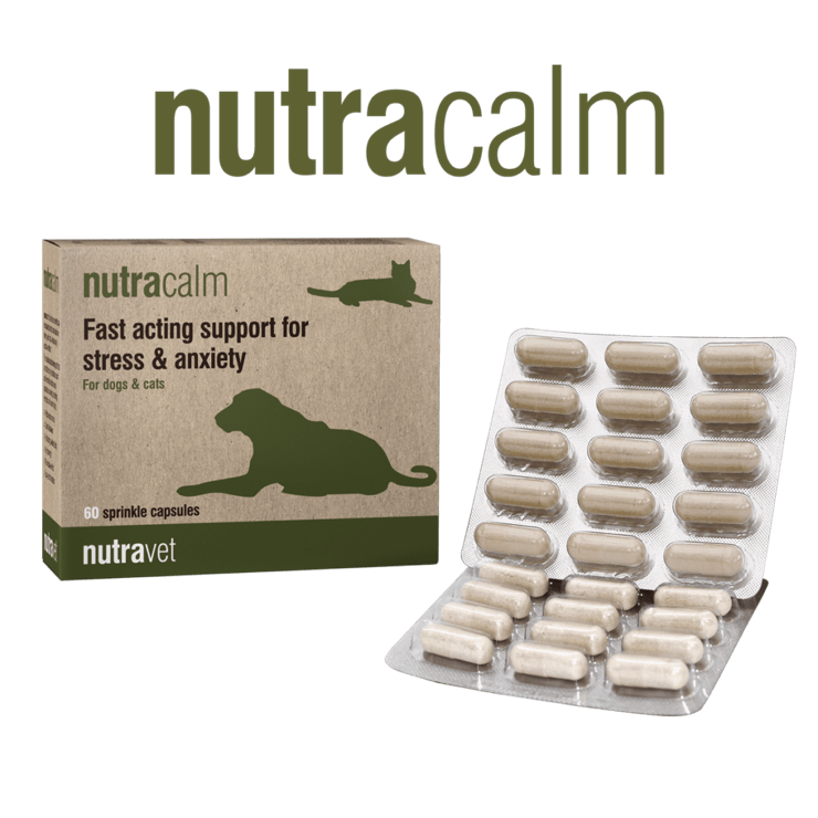Stacks Image 802