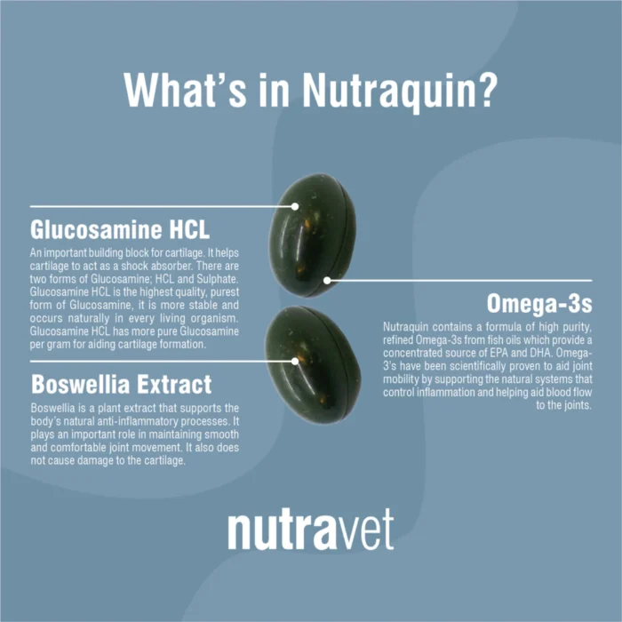 Whats in Nutraquin?