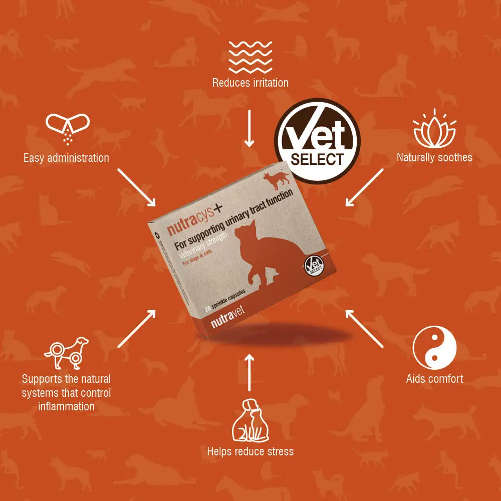 Whats in Nutracys+ more info