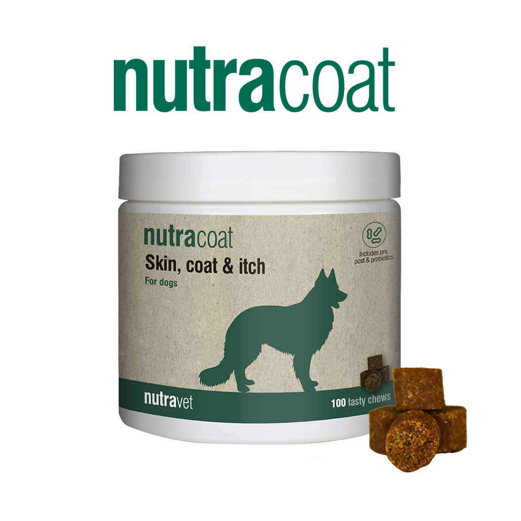 Nutracoat chews