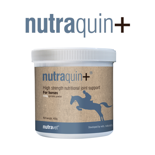 Nutraquin+ horses